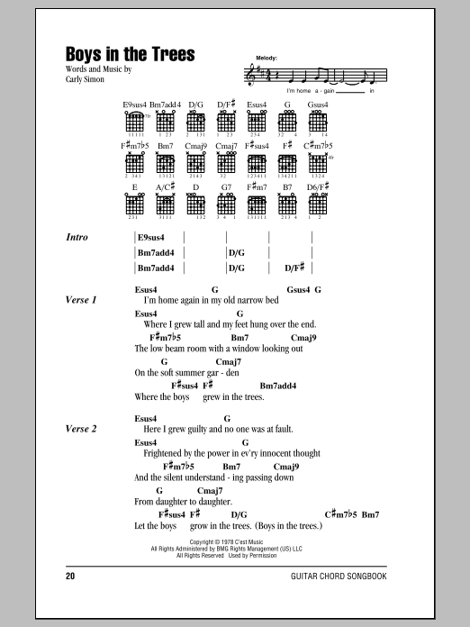 Carly Simon Boys In The Trees sheet music notes and chords. Download Printable PDF.