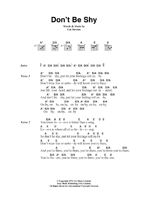 Cat Stevens Don't Be Shy sheet music notes and chords. Download Printable PDF.