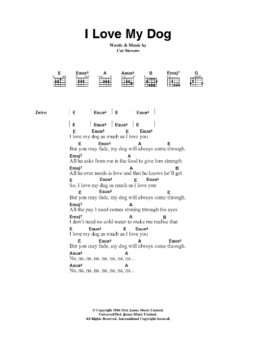 Cat Stevens I Love My Dog sheet music notes and chords. Download Printable PDF.