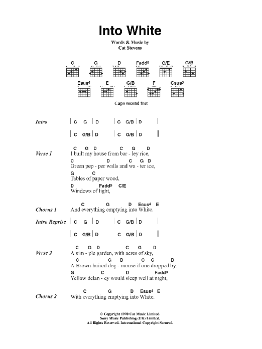 Cat Stevens Into White sheet music notes and chords. Download Printable PDF.