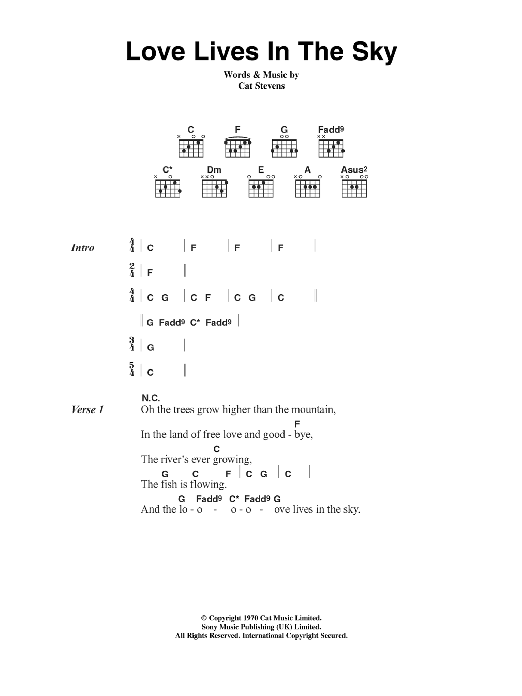 Cat Stevens Love Lives In The Sky sheet music notes and chords. Download Printable PDF.