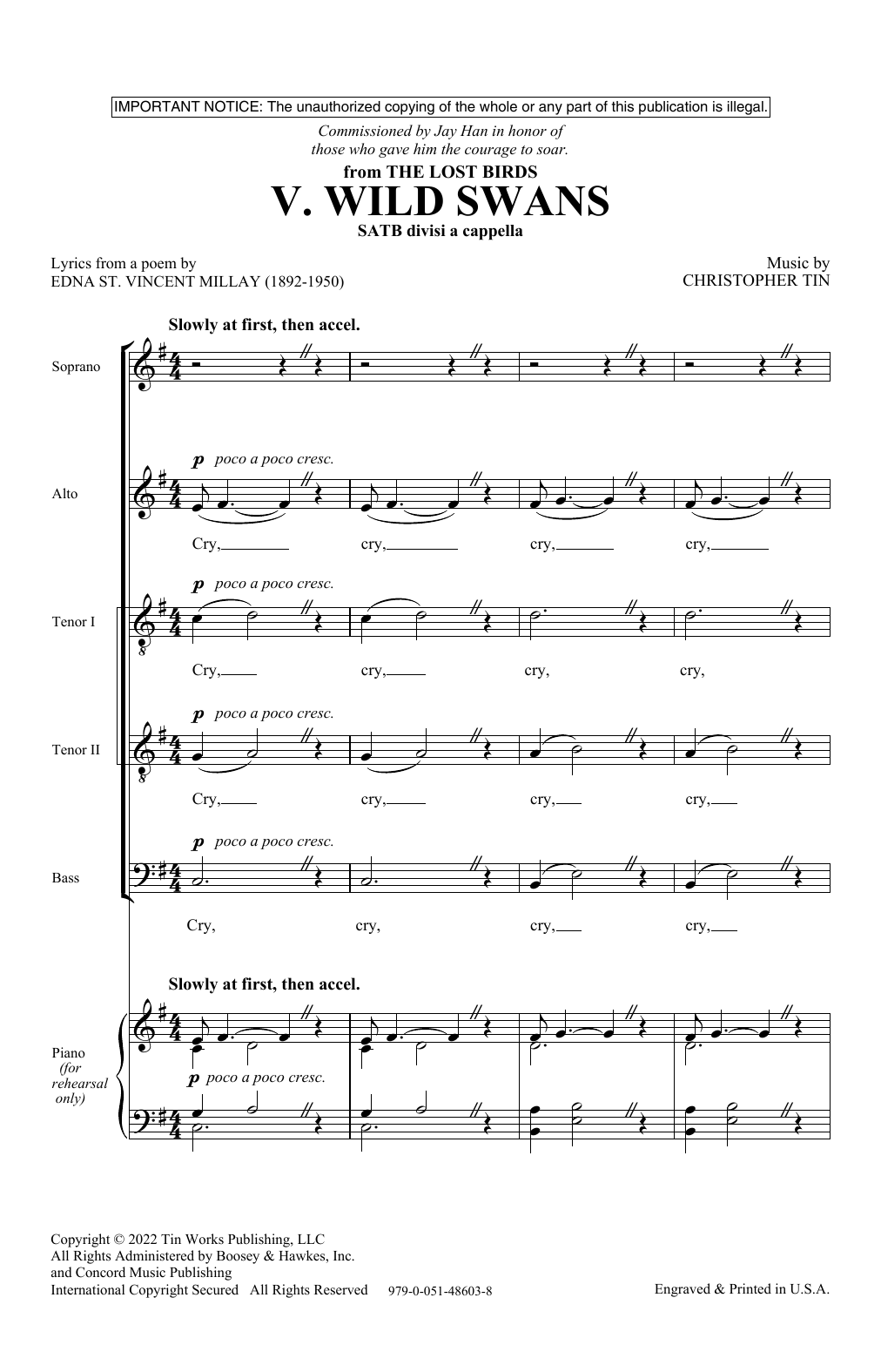 Christopher Tin Wild Swans (Movement V from The Lost Birds) sheet music notes and chords. Download Printable PDF.