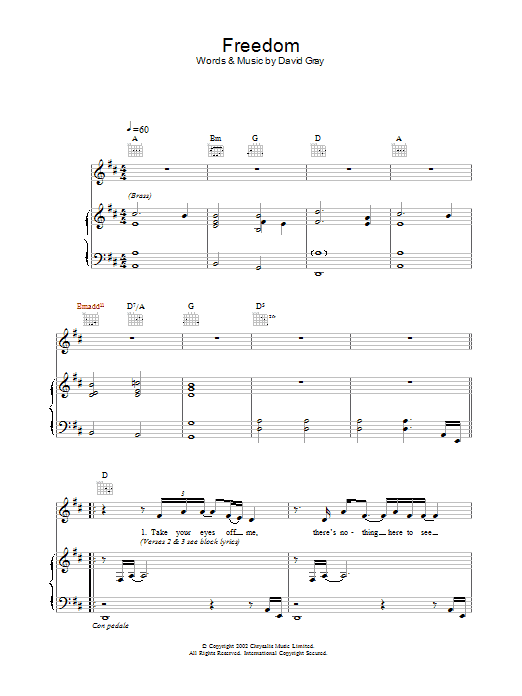 David Gray Freedom sheet music notes and chords. Download Printable PDF.