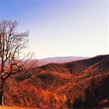 Download or print Alfred Bryan There's A Blue Ridge Round My Heart Virginia Sheet Music Printable PDF 5-page score for Standards / arranged Piano, Vocal & Guitar Chords SKU: 117877