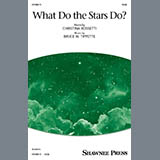 Download or print Bruce W. Tippette What Do The Stars Do? Sheet Music Printable PDF 14-page score for Concert / arranged SSAB Choir SKU: 1927460