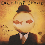 Download or print Counting Crows Colorblind Sheet Music Printable PDF 6-page score for Pop / arranged Piano, Vocal & Guitar Chords (Right-Hand Melody) SKU: 153516