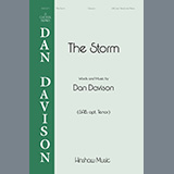 Download or print Dan Davison The Storm Sheet Music Printable PDF 11-page score for Concert / arranged SAB Choir SKU: 1345475