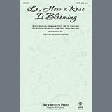 Download or print David Giardiniere Lo, How A Rose Is Blooming Sheet Music Printable PDF 11-page score for Christian / arranged SATB Choir SKU: 2060047