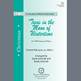Download or print David Schmidt and Brady Schmidt 'Twas in the Moon of Wintertime Sheet Music Printable PDF 11-page score for Concert / arranged SATB Choir SKU: 1919033