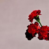 Download or print John Legend Made To Love Sheet Music Printable PDF 6-page score for Pop / arranged Piano, Vocal & Guitar Chords (Right-Hand Melody) SKU: 155917