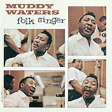 Download or print Muddy Waters My Home Is On The Delta Sheet Music Printable PDF 9-page score for Pop / arranged Guitar Tab SKU: 171719