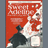 Download or print Oscar Hammerstein II & Jerome Kern Why Was I Born? (from Sweet Adeline) (arr. Lee Evans) Sheet Music Printable PDF 4-page score for Broadway / arranged Piano Solo SKU: 1520567