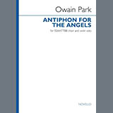 Download or print Owain Park Antiphon For The Angels (Vocal score) Sheet Music Printable PDF 18-page score for Concert / arranged SSAATTBB Choir SKU: 1790406