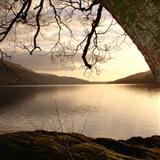 Download or print Scottish Folksong Loch Lomond Sheet Music Printable PDF 4-page score for Folk / arranged Piano & Vocal SKU: 28129