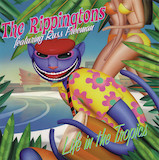 Download or print The Rippingtons Caribbean Breeze Sheet Music Printable PDF 6-page score for Jazz / arranged Solo Guitar SKU: 1227205