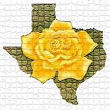 Download or print Traditional The Yellow Rose Of Texas (arr. Michelle Hynson) Sheet Music Printable PDF 2-page score for Folk / arranged Instrumental Duet SKU: 1632811