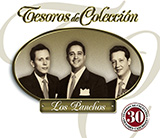 Download or print Trio Los Panchos Sin Remedio Sheet Music Printable PDF 4-page score for Latin / arranged Piano, Vocal & Guitar Chords (Right-Hand Melody) SKU: 1350365