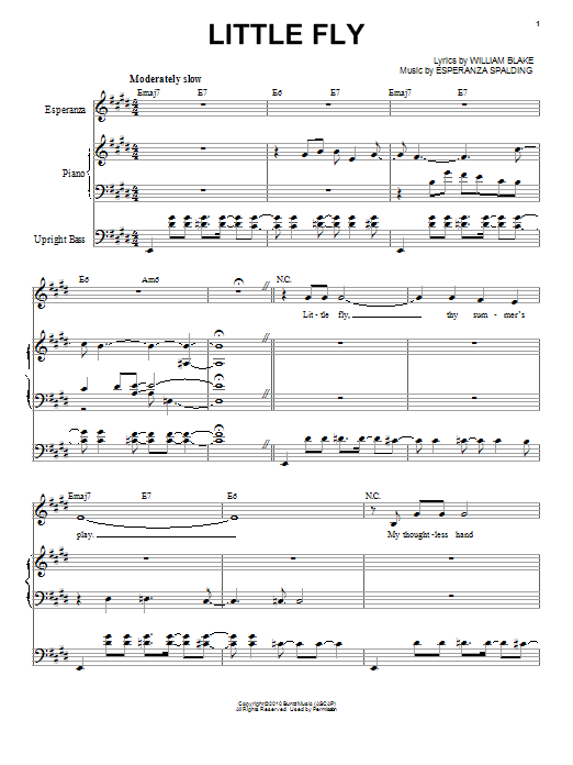 Learn to play Esperanza Spalding Little Fly sheet music for Piano & Vocal in minutes. Price: 6.9900$ Esperanza Spalding Little Fly sheet music notes and chords arranged for Piano & Vocal