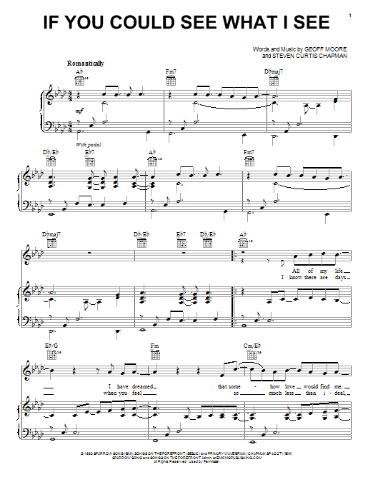 Steven Curtis Chapman If You Could See What I See sheet music notes and chords arranged for Piano & Vocal