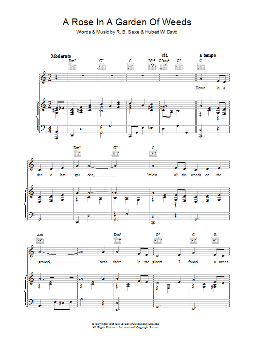 Hubert W. David A Rose In A Garden Of Weeds sheet music notes and chords arranged for Piano, Vocal & Guitar Chords