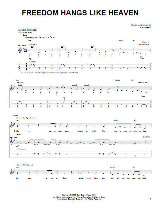 Iron & Wine Freedom Hangs Like Heaven sheet music notes and chords. Download Printable PDF.