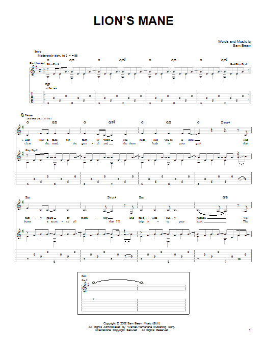 Iron & Wine Lion's Mane sheet music notes and chords. Download Printable PDF.