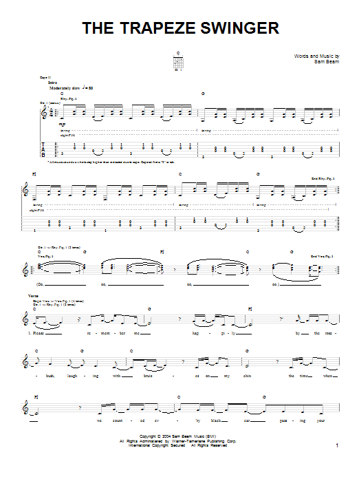 Iron & Wine The Trapeze Swinger sheet music notes and chords. Download Printable PDF.