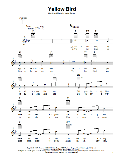 Learn to play Irving Burgie Yellow Bird sheet music for Piano, Vocal & Guitar Chords (Right-Hand Melody) in minutes. Price: 7.8900$ Irving Burgie Yellow Bird sheet music notes and chords arranged for Piano, Vocal & Guitar Chords (Right-Hand Melody)