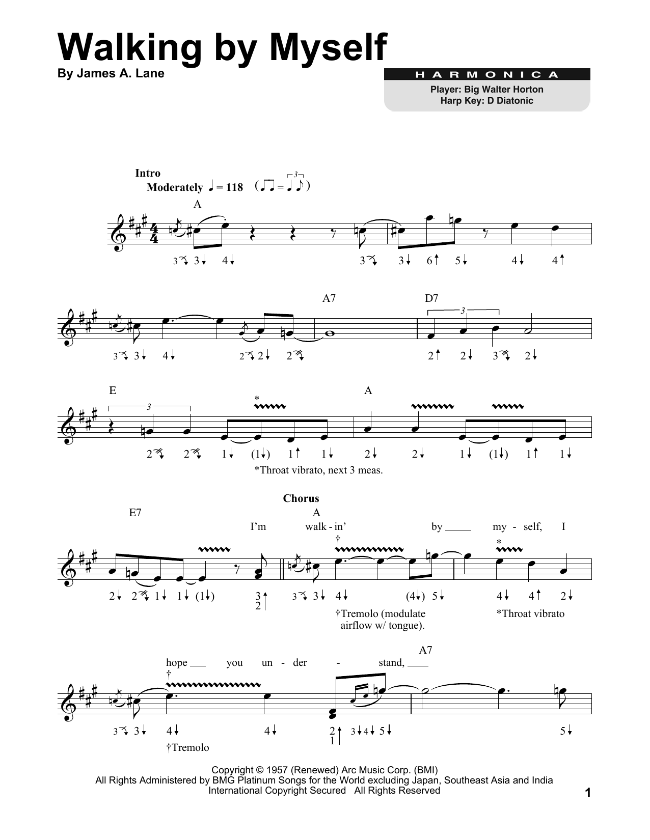 Jimmy Rogers Walking By Myself sheet music notes and chords. Download Printable PDF.