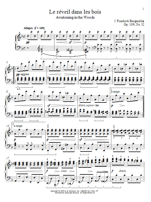 Learn to play Friedrich Burgmuller Awakening In The Woods sheet music for Piano Solo in minutes. Price: 7.8900$ Friedrich Burgmuller Awakening In The Woods sheet music notes and chords arranged for Piano Solo