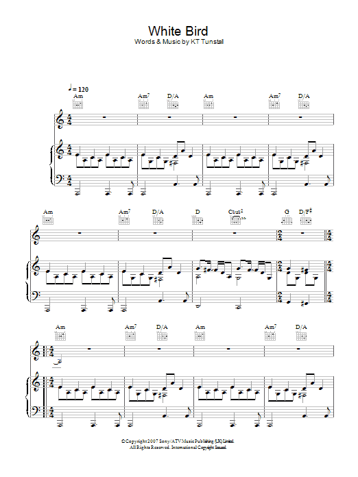 Learn to play KT Tunstall White Bird sheet music for Piano, Vocal & Guitar Chords in minutes. Price: 7.8900$ KT Tunstall White Bird sheet music notes and chords arranged for Piano, Vocal & Guitar Chords