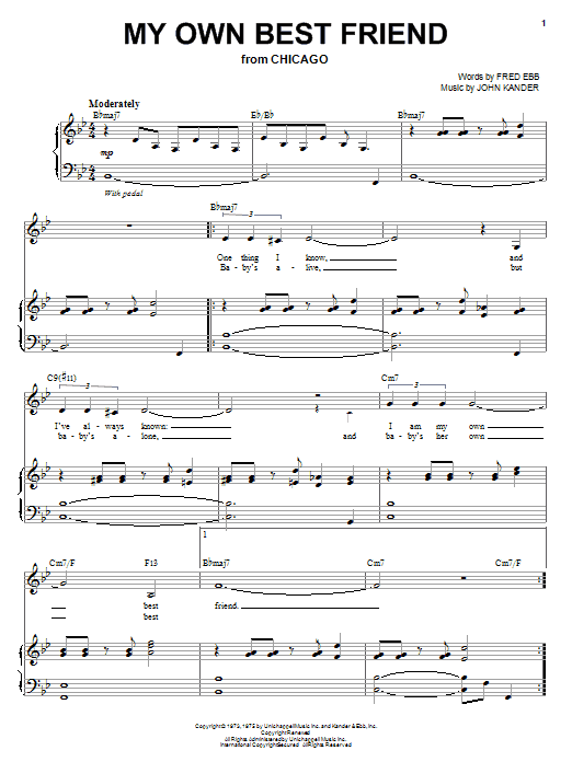 Liza Minnelli My Own Best Friend sheet music notes and chords arranged for Piano & Vocal