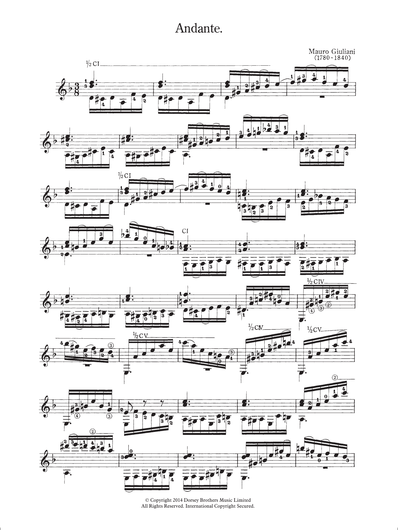 Mauro Giuliani Andante sheet music notes and chords. Download Printable PDF.