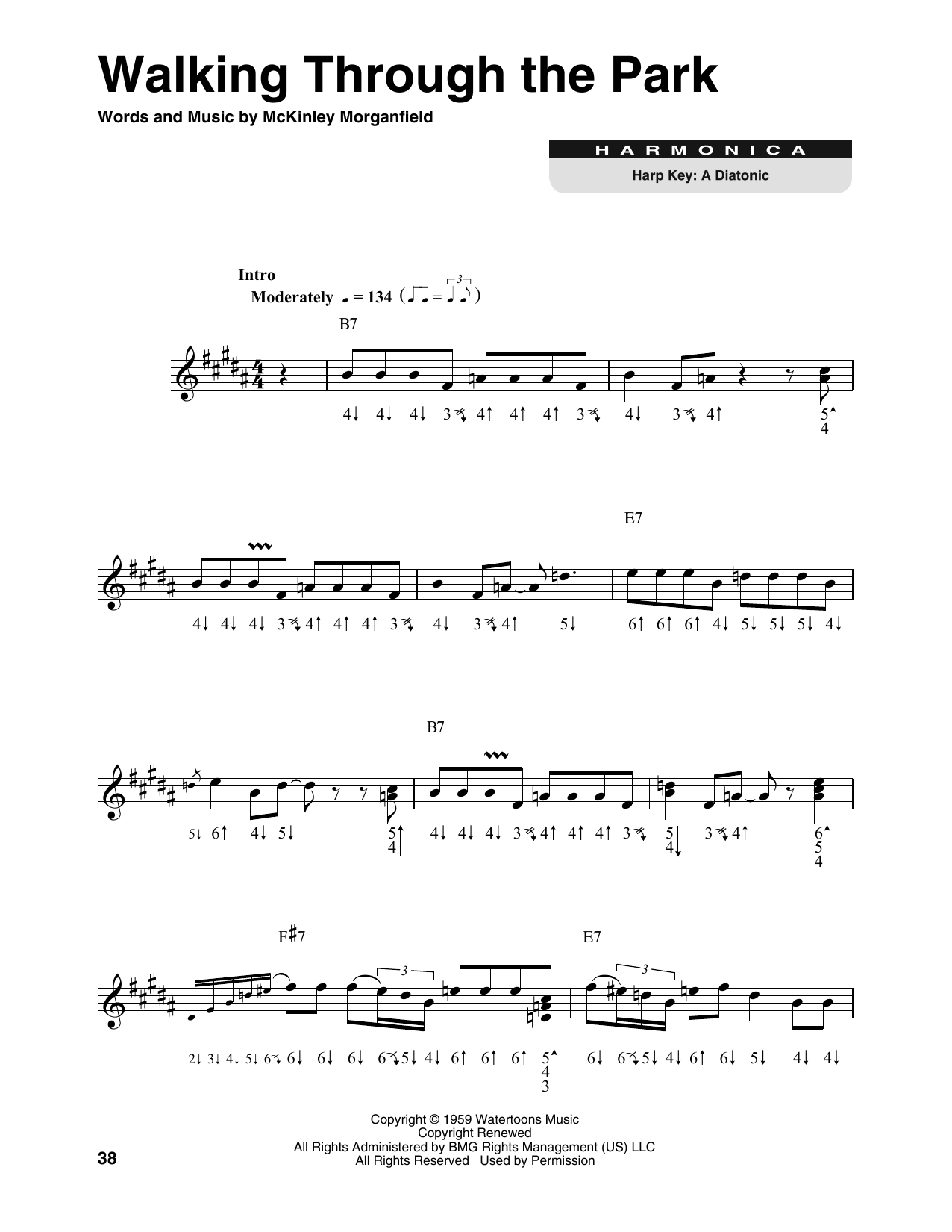 Muddy Waters Walking Through The Park sheet music notes and chords. Download Printable PDF.