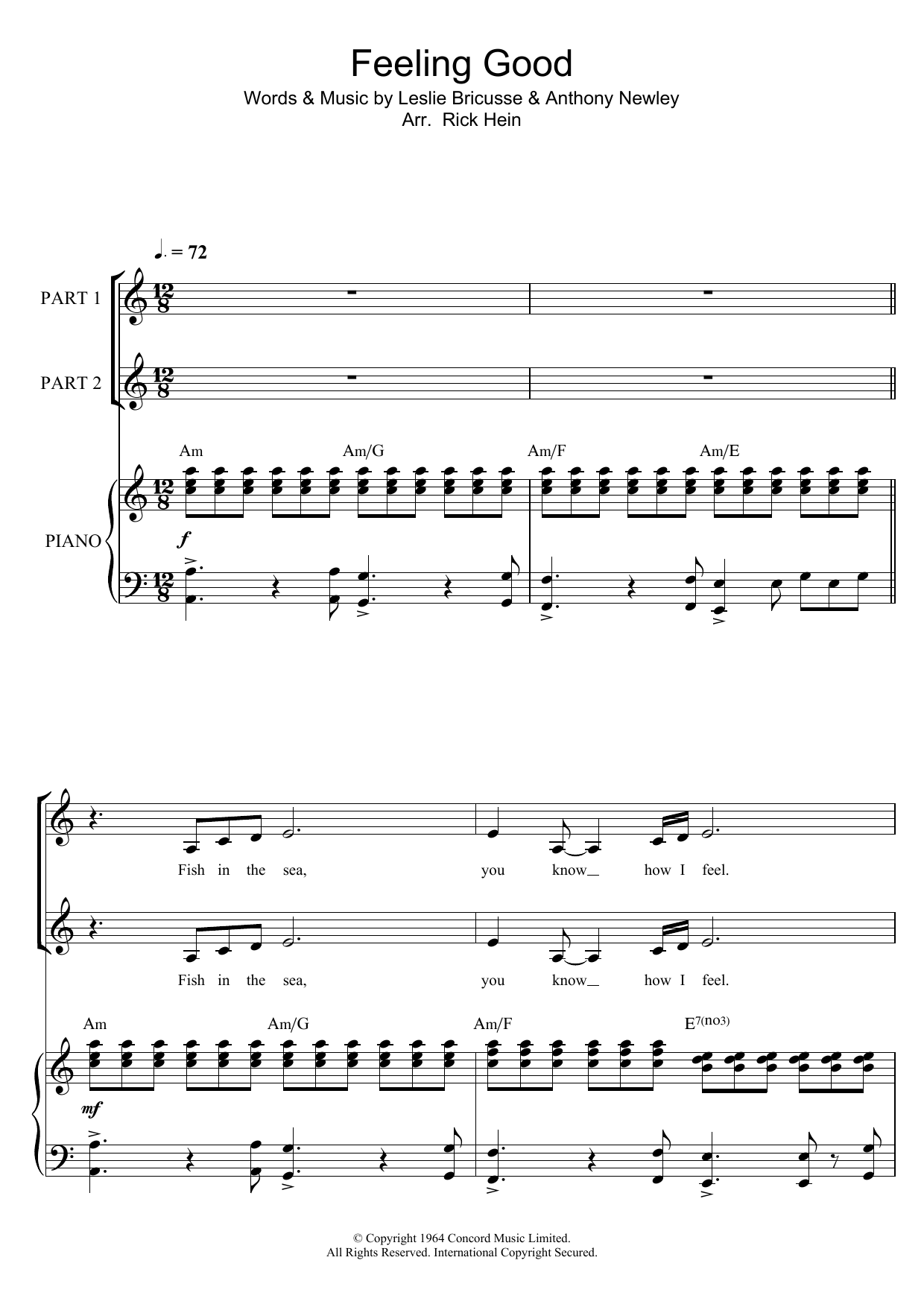 Nina Simone Feeling Good (arr. Rick Hein) sheet music notes and chords. Download Printable PDF.