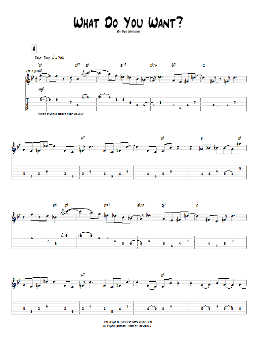 Pat Metheny What Do You Want? sheet music notes and chords. Download Printable PDF.