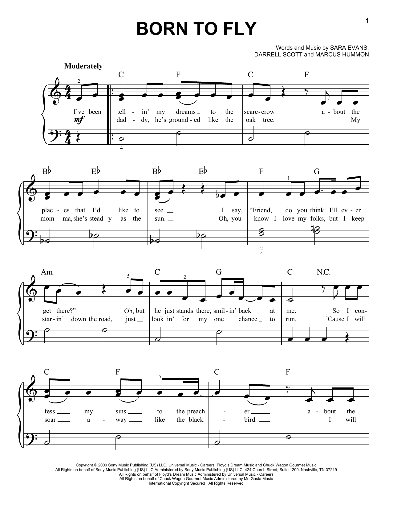 Sara Evans Born To Fly sheet music notes and chords. Download Printable PDF.