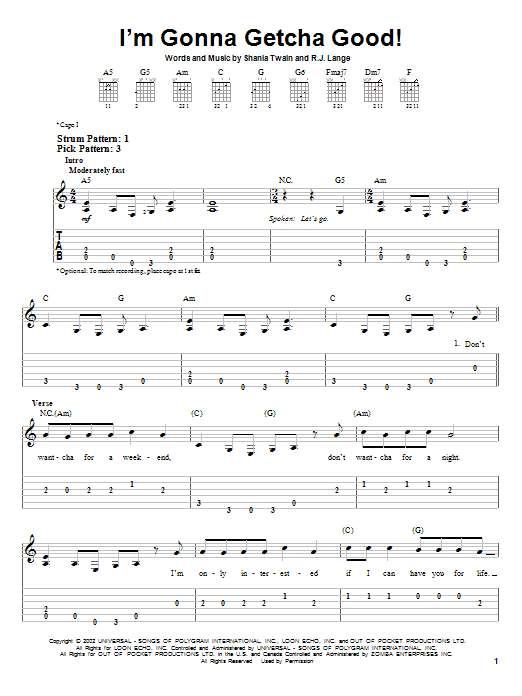 Shania Twain I'm Gonna Getcha Good! sheet music notes and chords arranged for Flute Solo