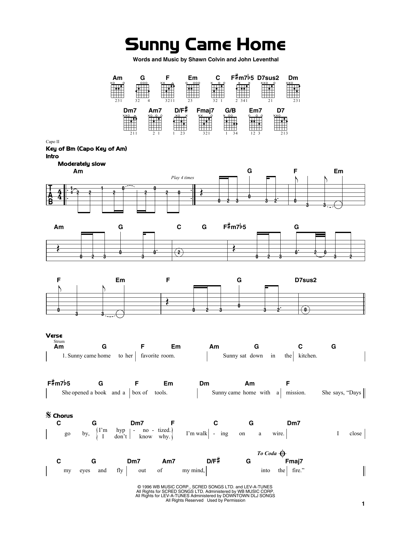 Shawn Colvin Sunny Came Home sheet music notes and chords. Download Printable PDF.