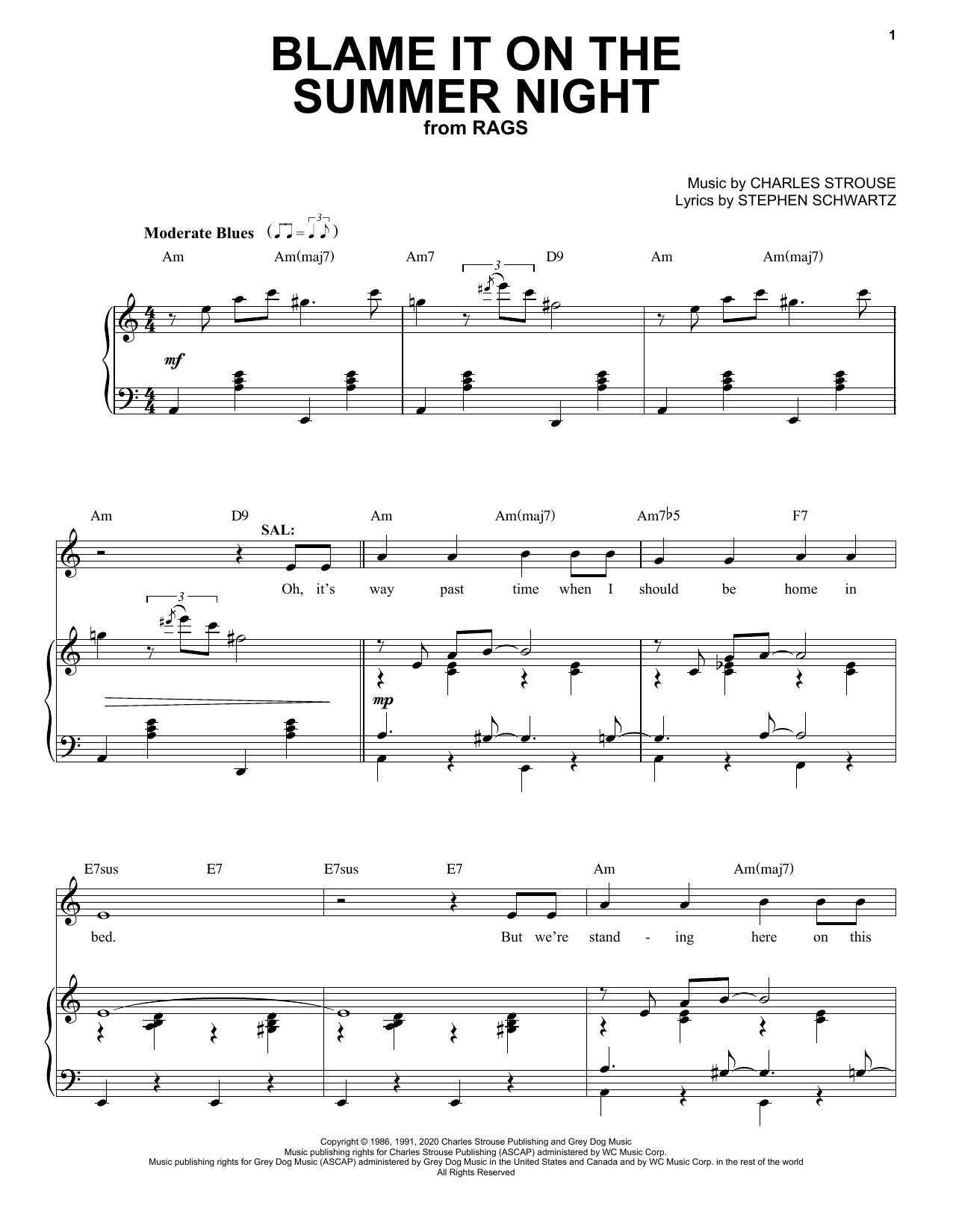 Stephen Schwartz & Charles Strouse Blame It On The Summer Night (from Rags: The Musical) sheet music notes and chords. Download Printable PDF.