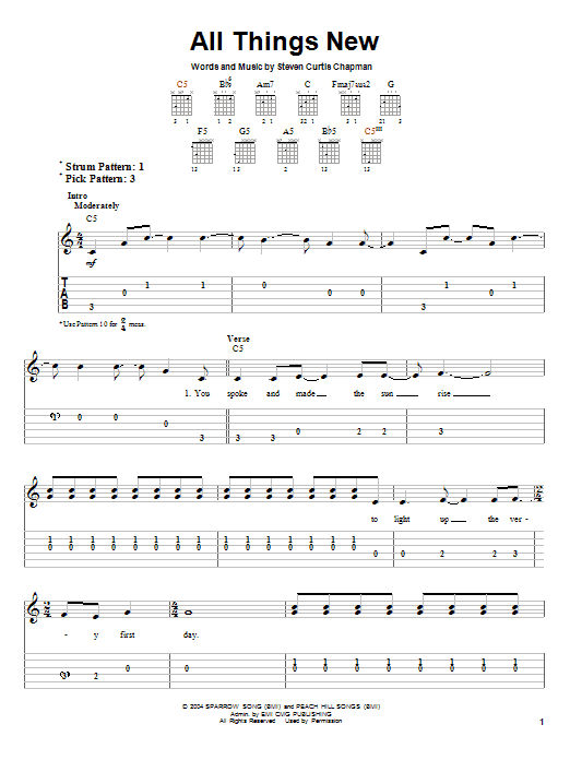 Steven Curtis Chapman All Things New sheet music notes and chords. Download Printable PDF.