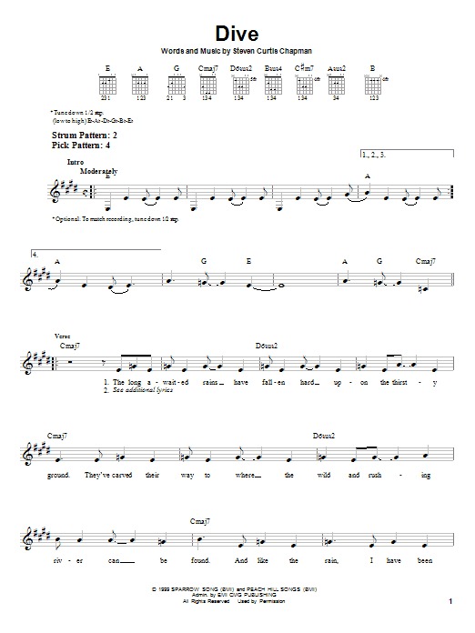 Steven Curtis Chapman Dive sheet music notes and chords. Download Printable PDF.