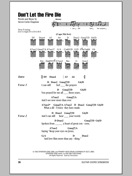 Steven Curtis Chapman Don't Let The Fire Die sheet music notes and chords. Download Printable PDF.