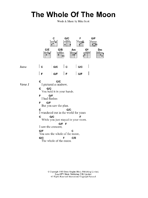 The Waterboys The Whole Of The Moon sheet music notes and chords arranged for Guitar Chords/Lyrics