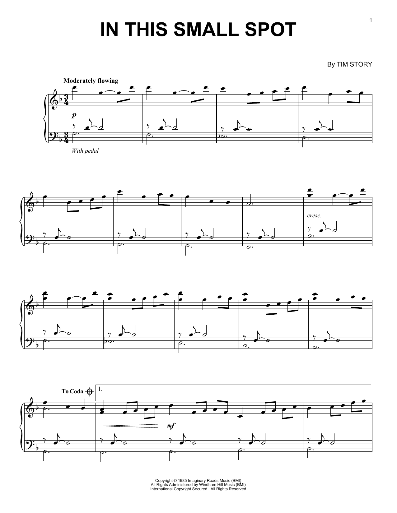 Tim Story In This Small Spot sheet music notes and chords. Download Printable PDF.