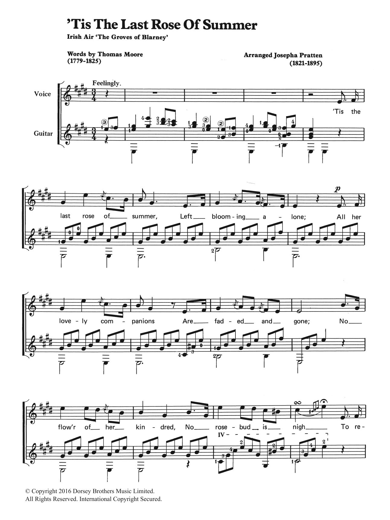Learn to play Traditional 'Tis The Last Rose Of Summer sheet music for Piano, Vocal & Guitar Chords in minutes. Price: 7.8900$ Traditional 'Tis The Last Rose Of Summer sheet music notes and chords arranged for Piano, Vocal & Guitar Chords