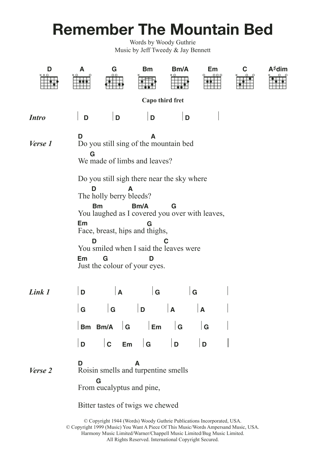 Wilco & Billy Bragg Remember The Mountain Bed sheet music notes and chords. Download Printable PDF.