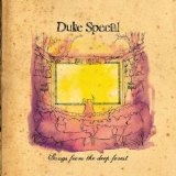 Download or print Duke Special No Cover Up Sheet Music Printable PDF 5-page score for Pop / arranged Piano, Vocal & Guitar Chords SKU: 42191