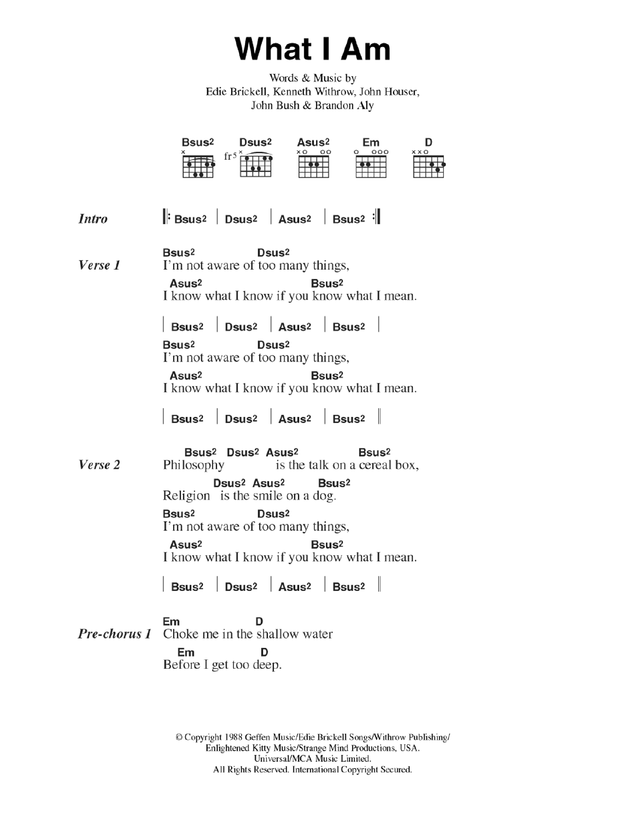 Edie Brickell What I Am Lyrics Meaning