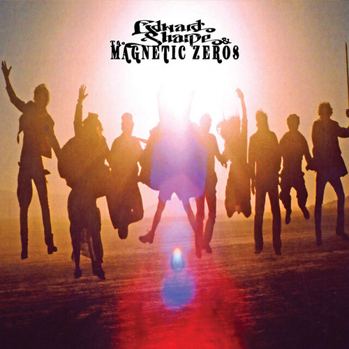 Edward Sharpe & the Magnetic Zeros Home (Horn Section) Profile Image